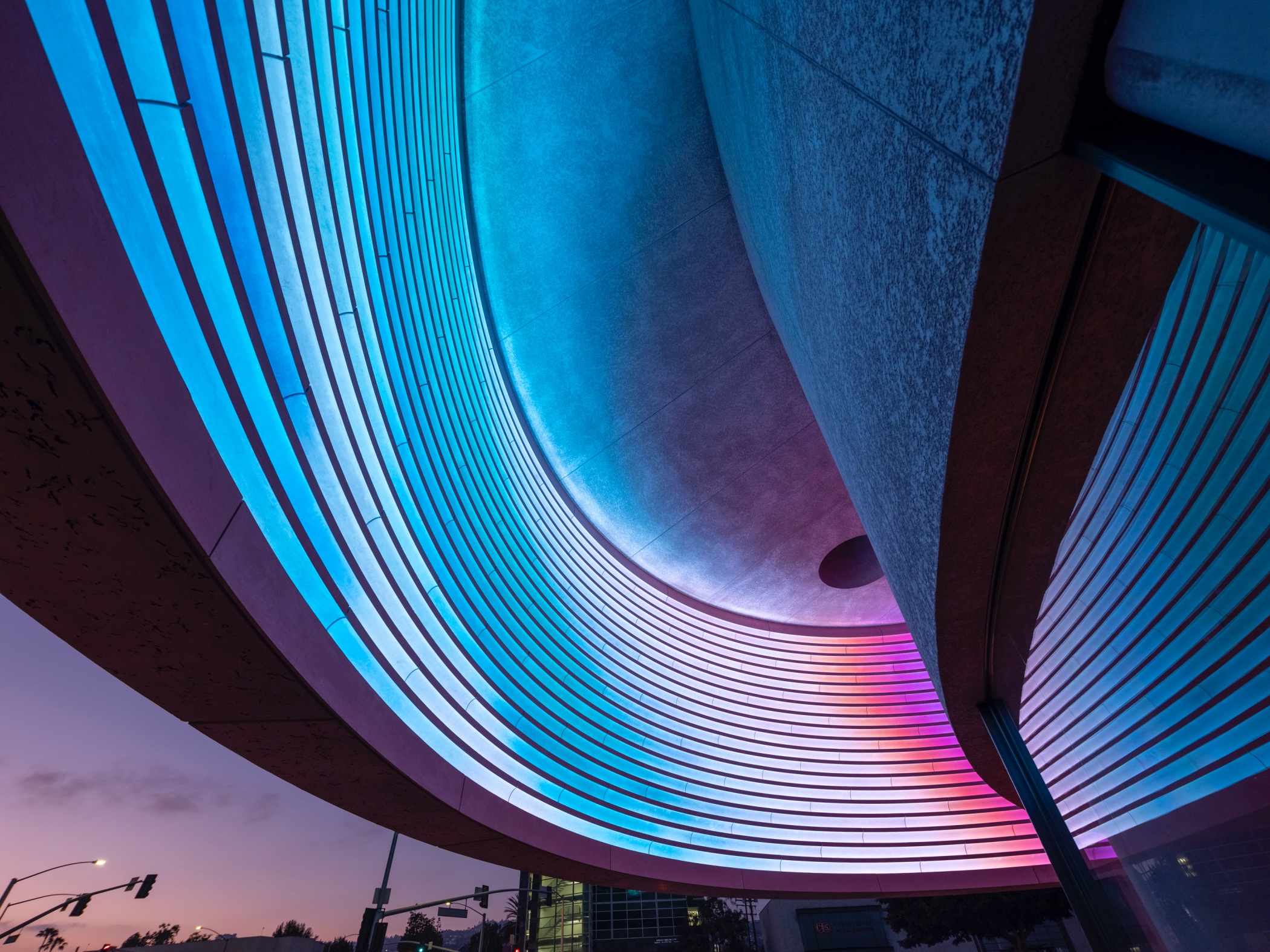 MUSE Design Winners - The Webster - Narrative Lighting Wall