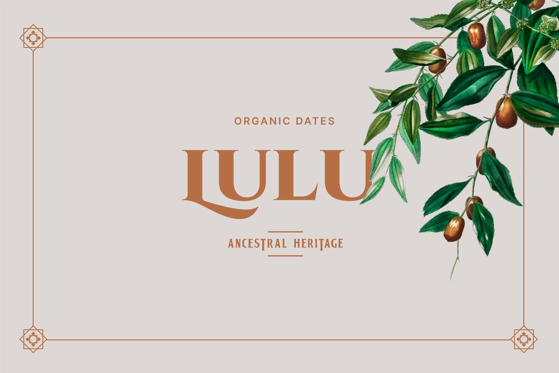 MUSE Design Winners - Lulu Organic Dates
