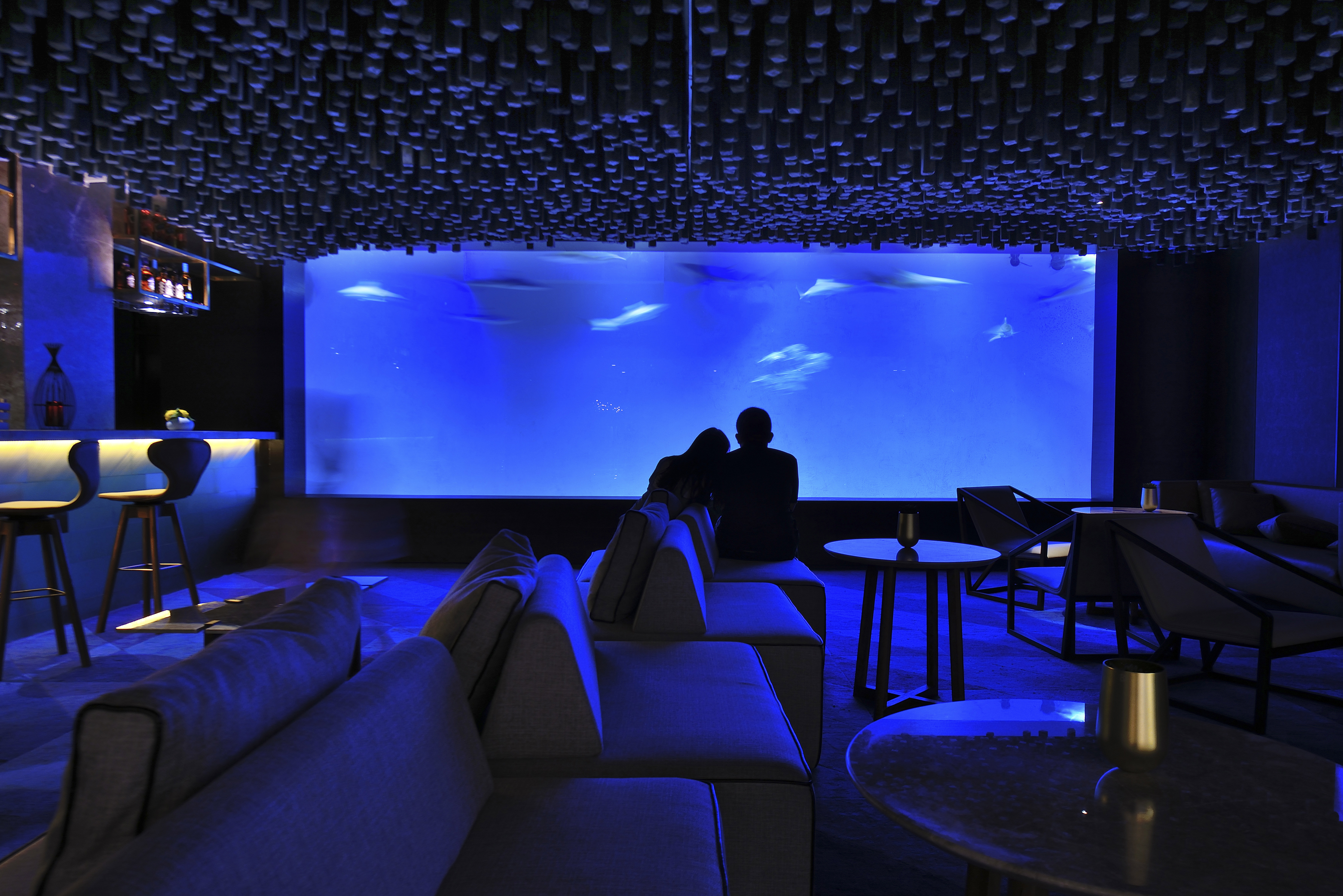 MUSE Design Winners - Poseidon Shark Hotel