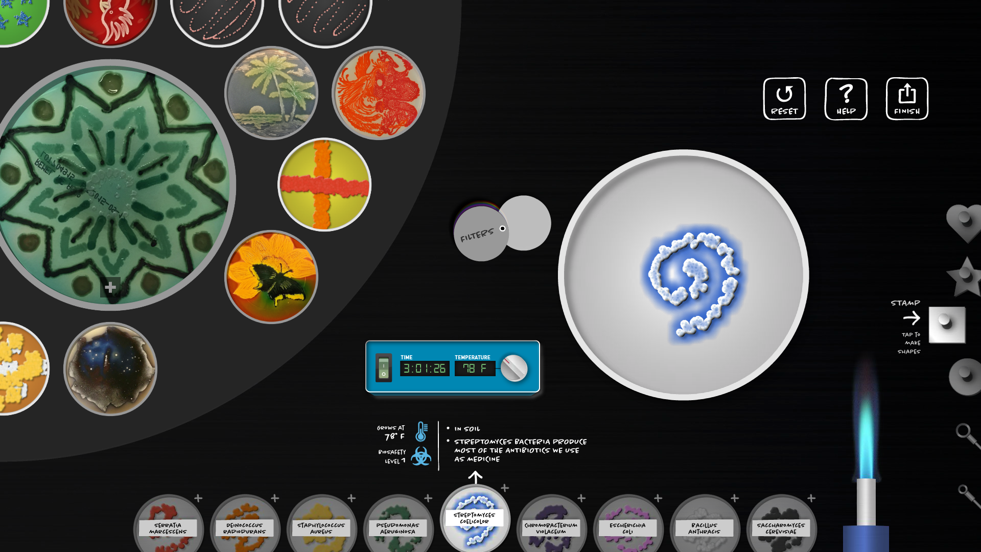 MUSE Design Winners - Virtual Microbial Art Lab